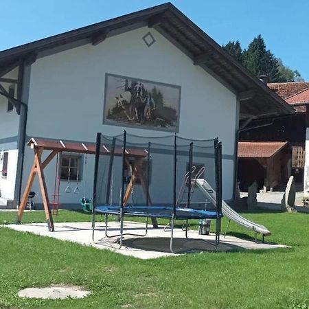 Ferienwohnung Im Bayerischen Wald Mit Terrasse 菲希塔赫 外观 照片