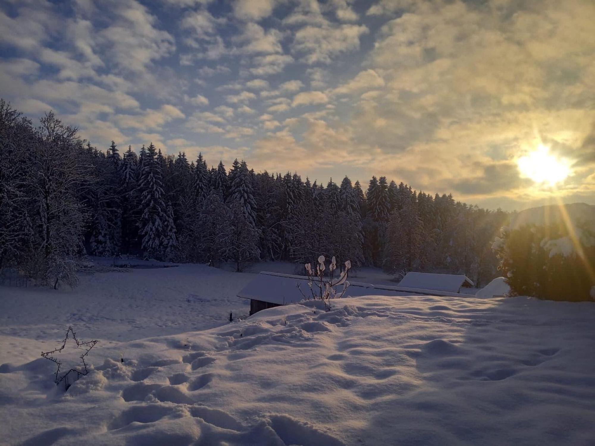 Ferienwohnung Im Bayerischen Wald Mit Terrasse 菲希塔赫 外观 照片